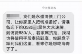 柳河为什么选择专业追讨公司来处理您的债务纠纷？